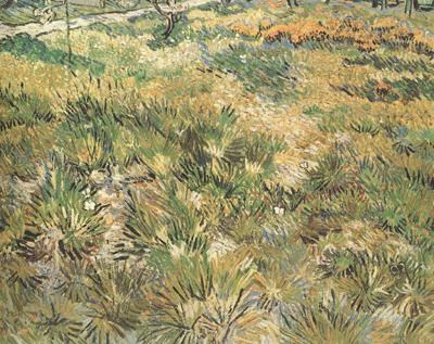 Vincent Van Gogh Meadow in the Garden of Saint-Paul Hospital (nn04) France oil painting art